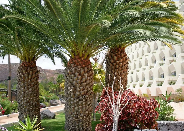 Beatriz Costa & Hotel Costa Teguise