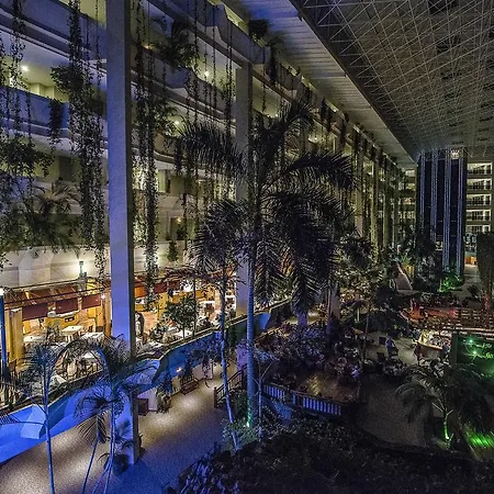 酒店 贝特丽斯科斯塔spa酒店 科斯塔特吉塞