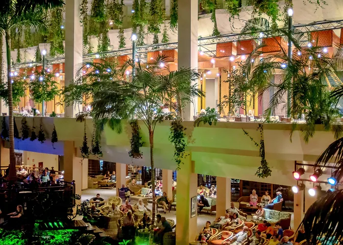 Beatriz Costa & מלון